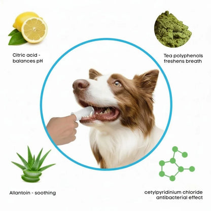 Pet Dental Finger Wipes