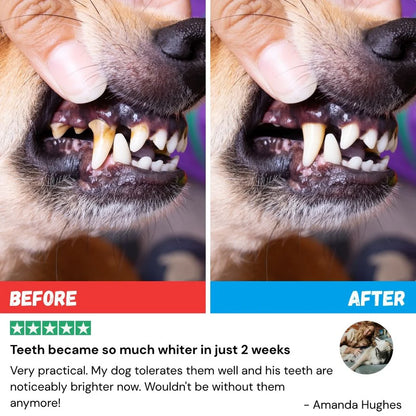 Pet Dental Finger Wipes